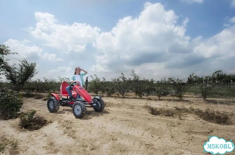 Веломобиль трёхскоростной Berg Case-IH BFR-3 фото 10