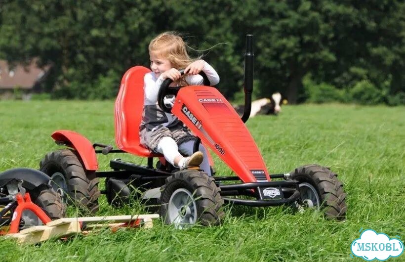 Веломобиль трёхскоростной Berg Case-IH BFR-3 фото 9