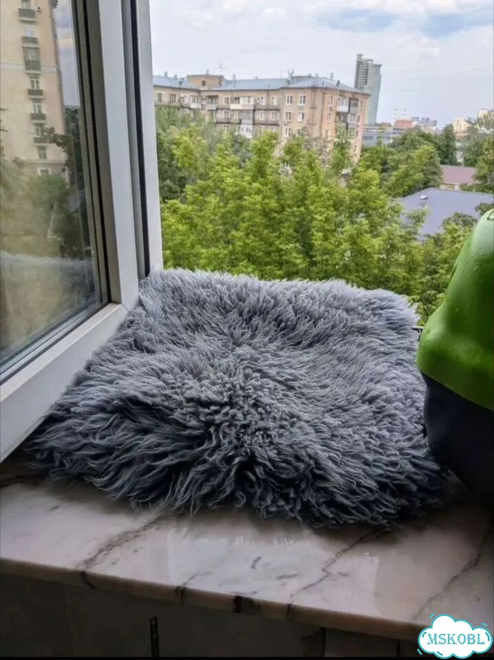 Переноска для маленьких собак и стандартных кошек фото 2